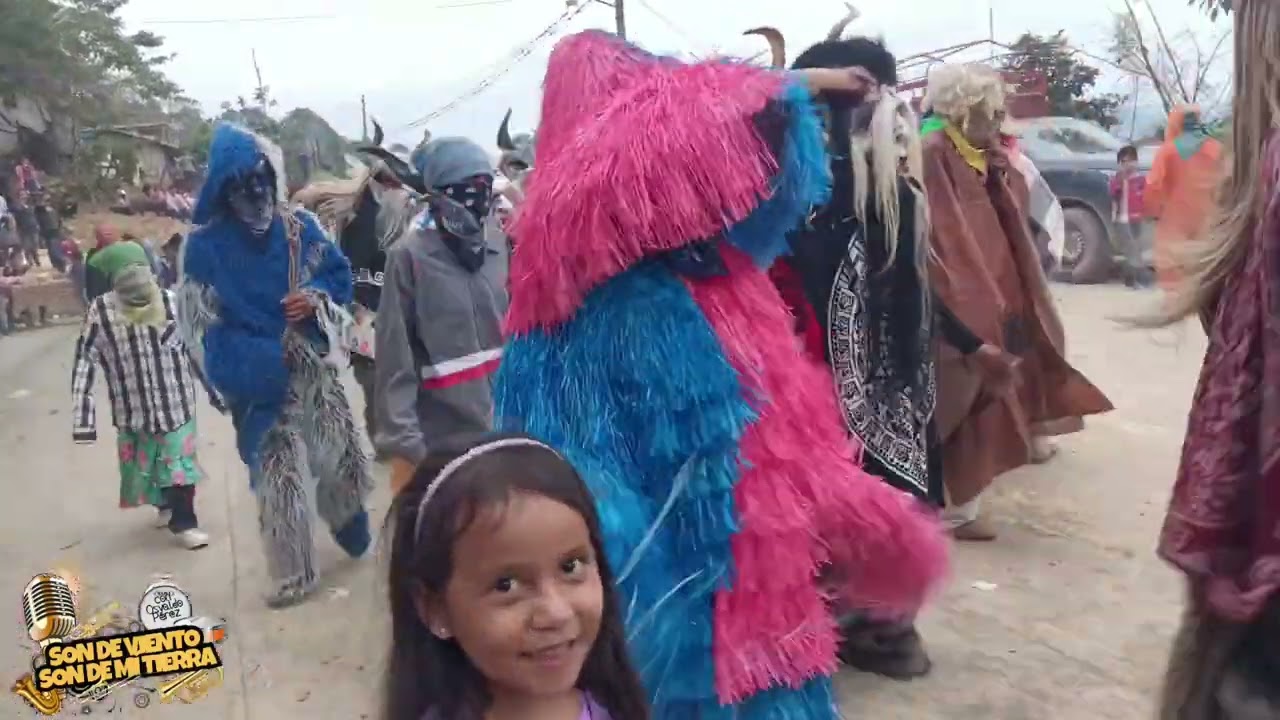 Carnaval El Pericon Texcatepec 2025