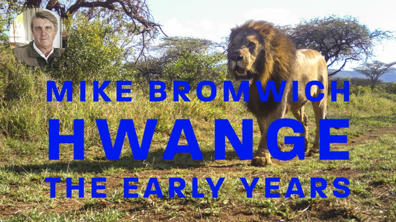 Hwange | The Early Years | Mike Bromwich