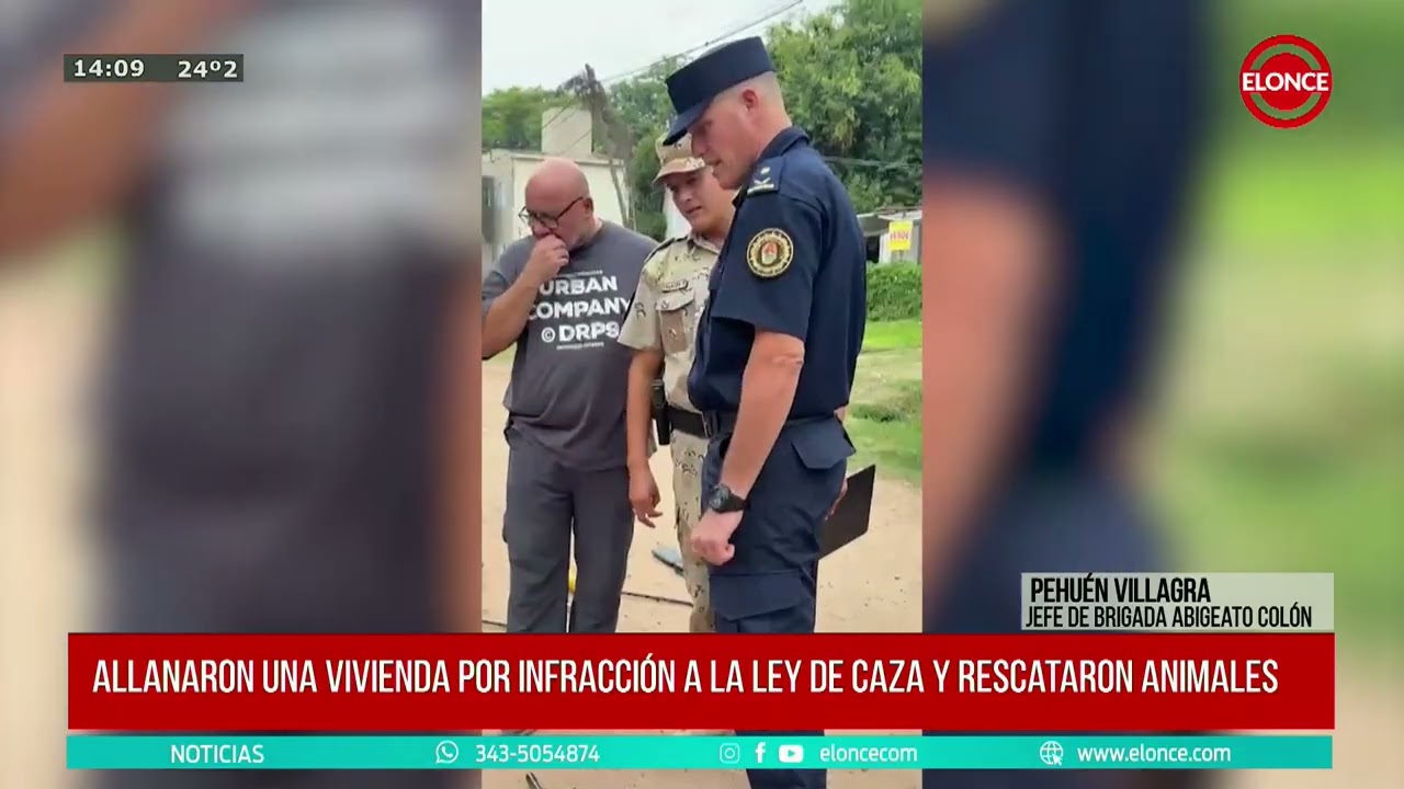 Allanaron una vivienda por infracción a la ley de caza y rescataron animales - NOTA Pehuén Villalba