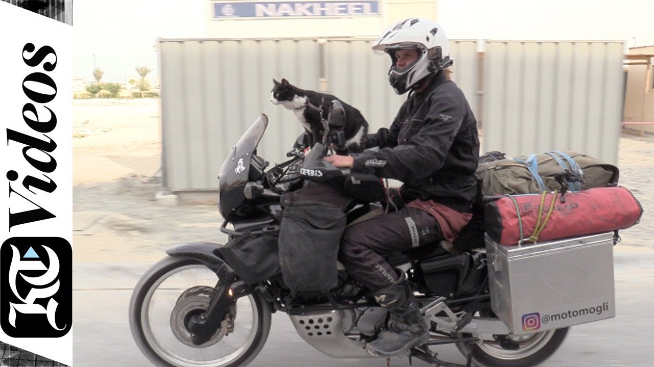 From Germany to Dubai, a man and his cat embark on a motorbike adventure