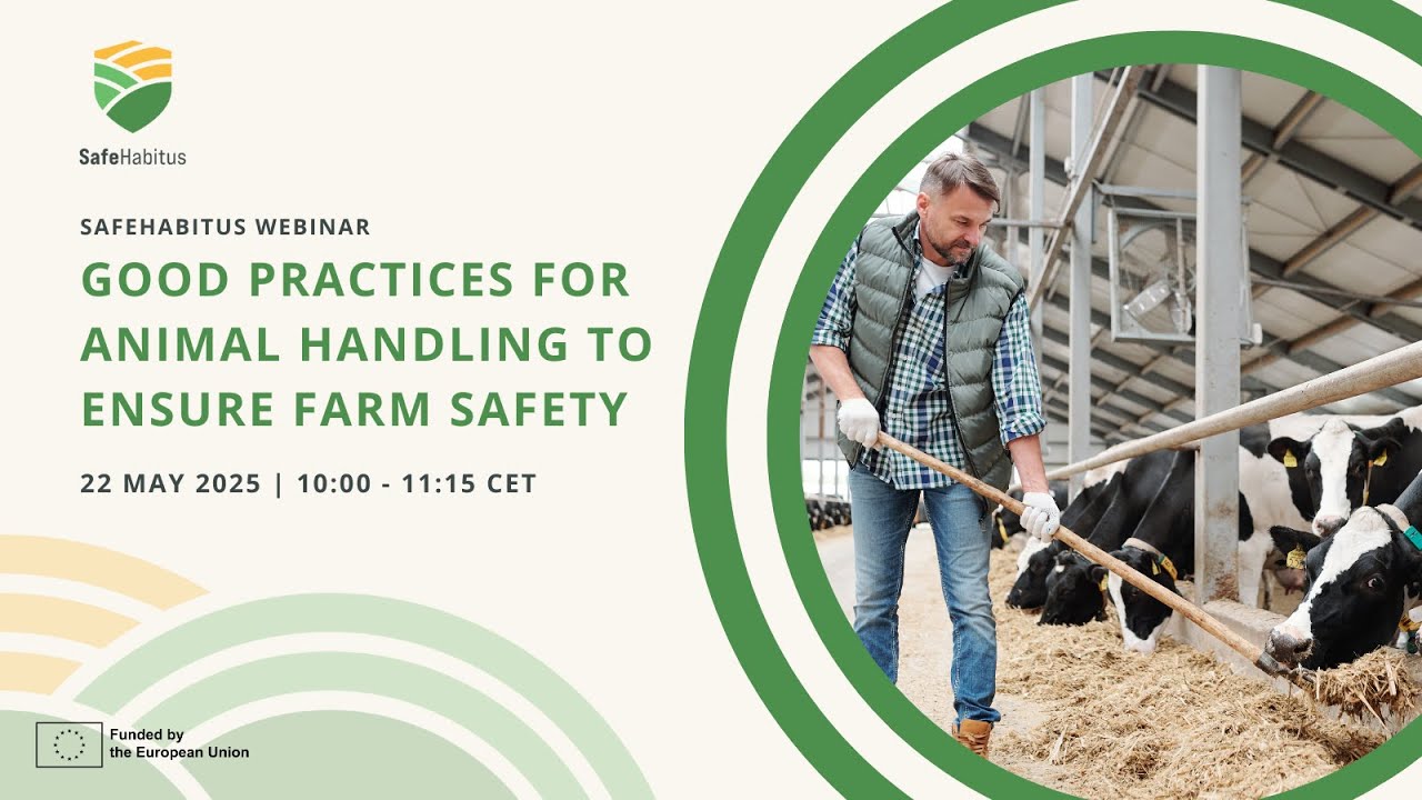 SafeHabitus Webinar | Good practices in animal handling to ensure farm safety
