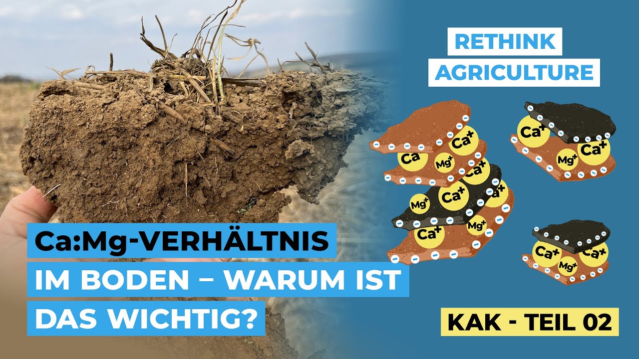 Ca:Mg Verhältnis im Boden - warum ist das wichtig? (KAK - Teil 2)