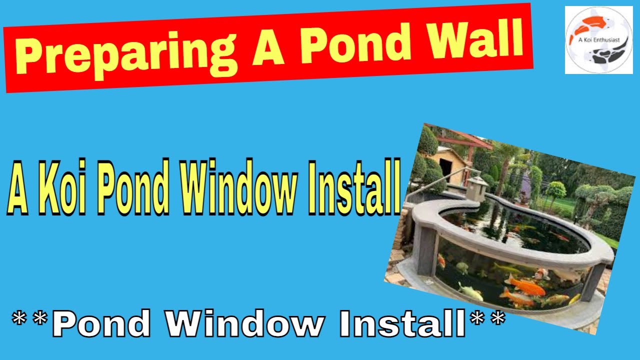 Preparing A Pond Wall ***A Koi Pond Window Install*** ***Pond Window***