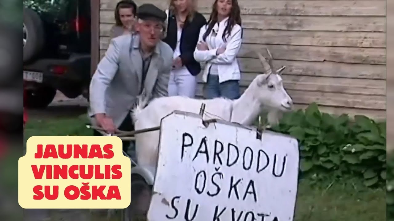 Jaunas Vinculis ir oška. 2008 m.