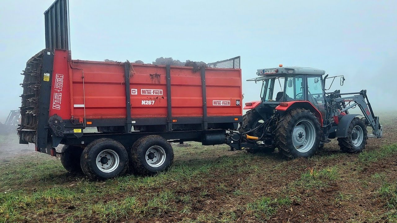 Rozrzucanie obornika 2024 Massey Ferguson 4235 & Metal Fach N267