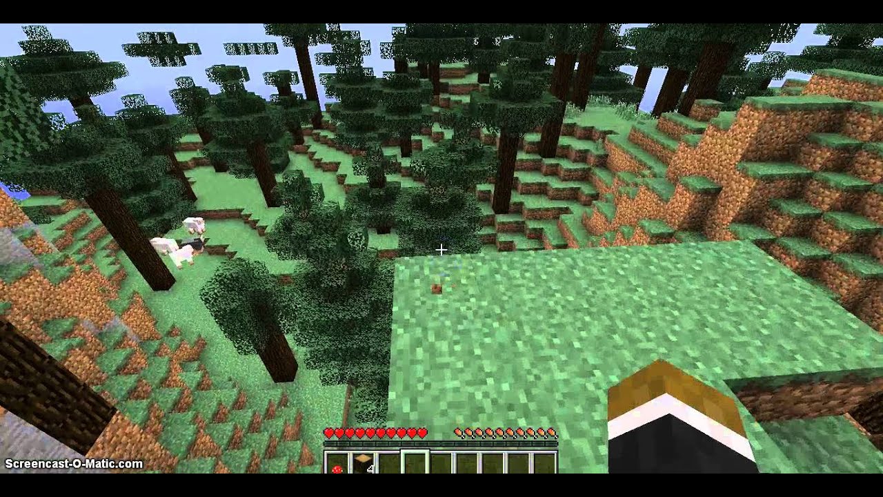 Survival Letsplay #1