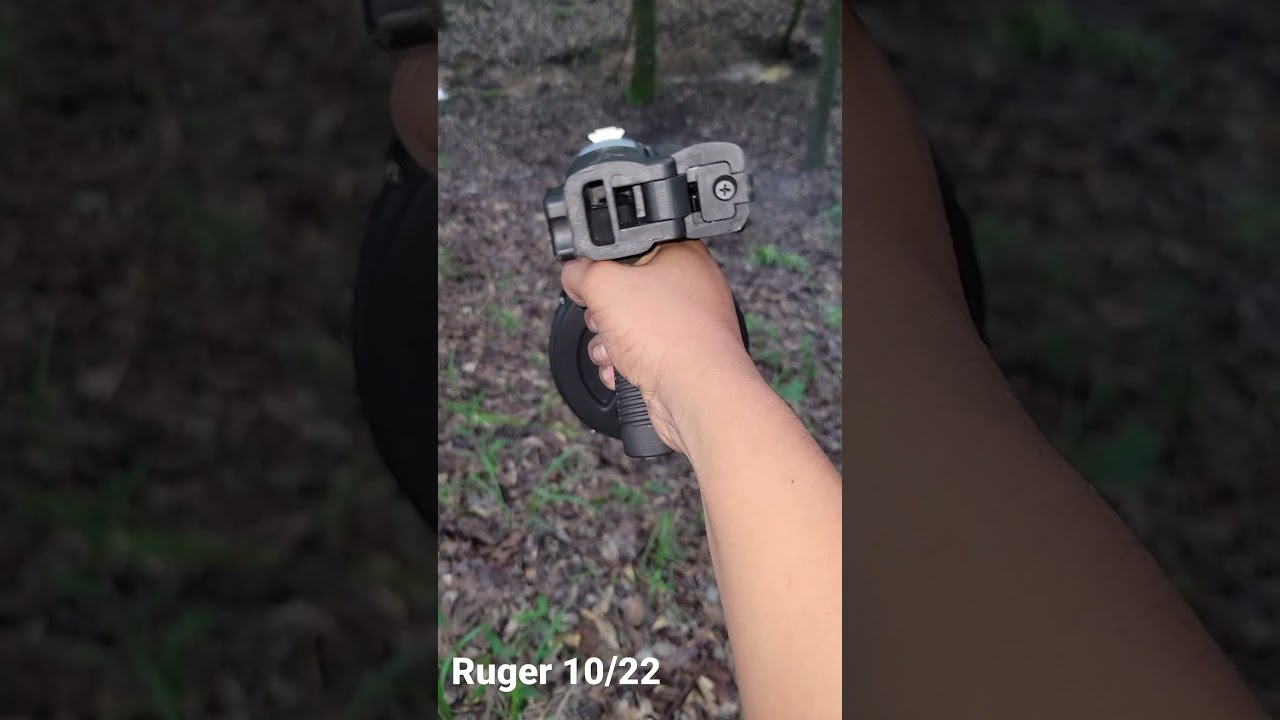 Ruger 10/22 Stainless Steel With 110 Round Drum