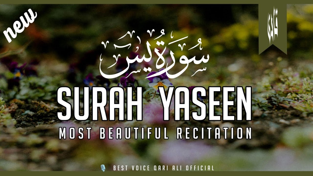 Surah Yaseen | The Most beautiful recitation (Yasin) سورۃ یس || with urdu translation 