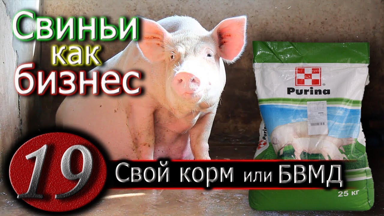 БВМД ПУРИНА ДЛЯ СВИНЕЙ
