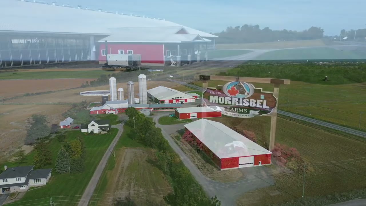 MorrisBelFarms