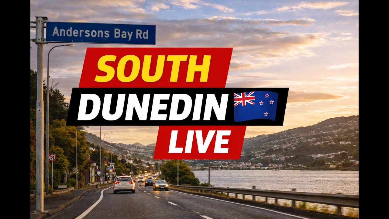 Live NZ Drive New Zealand | South Dunedin & Andersons Bay | Friday Evening Drive
