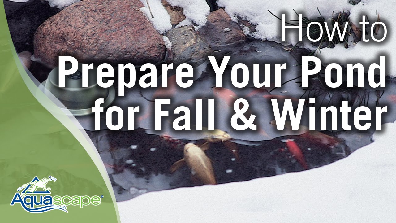 Aquascape's How To Prepare Your Pond for Fall and Winter