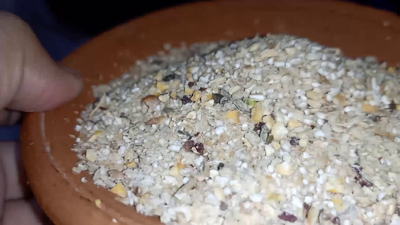 Rabbit Dry Food / hindi