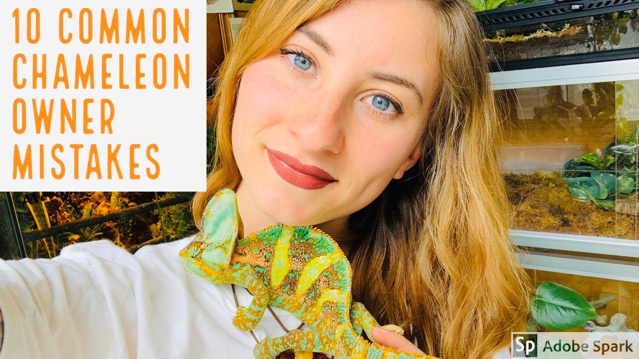 10 Common Chameleon Owner Mistakes