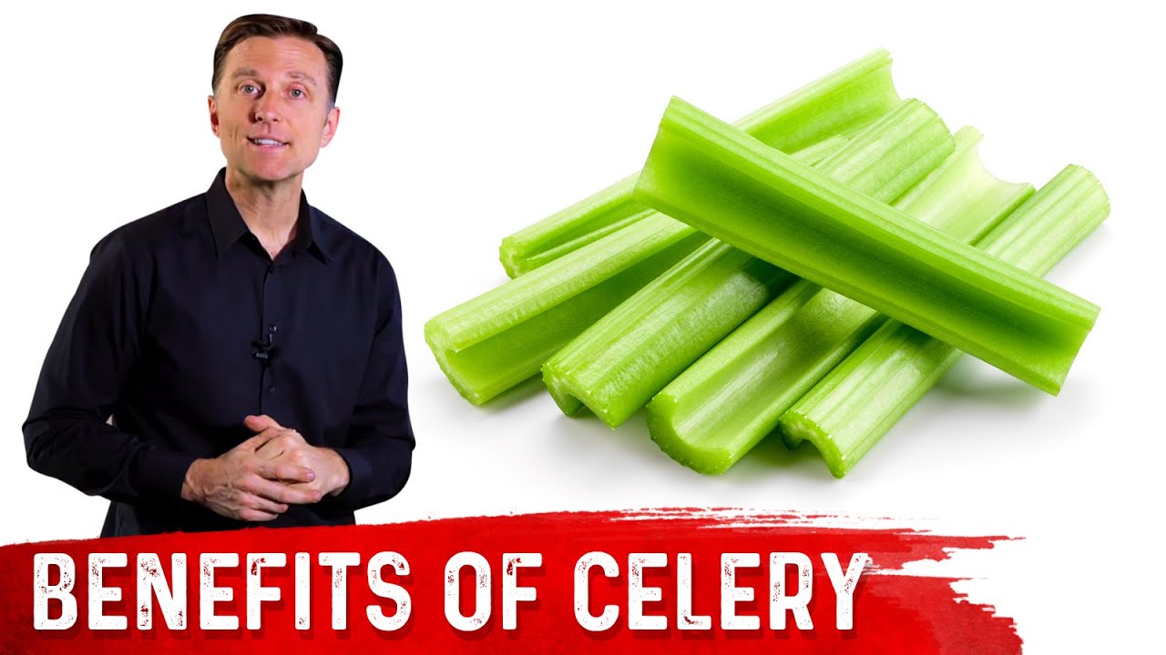 Top 11 Health Benefits of CELERY &ndash; Dr. Berg