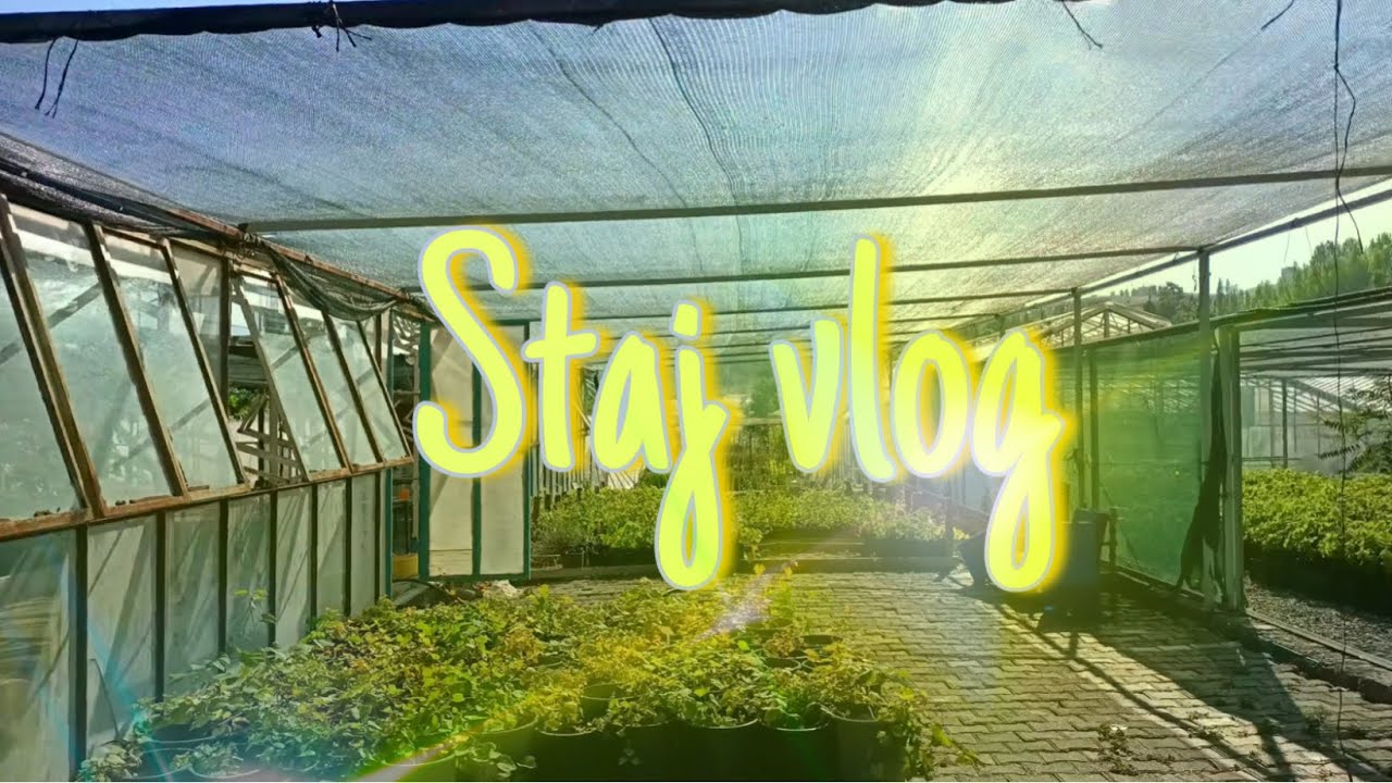 Staj günlükleri  2 - ziraat mühendisliği #yt#shorts#agriculture