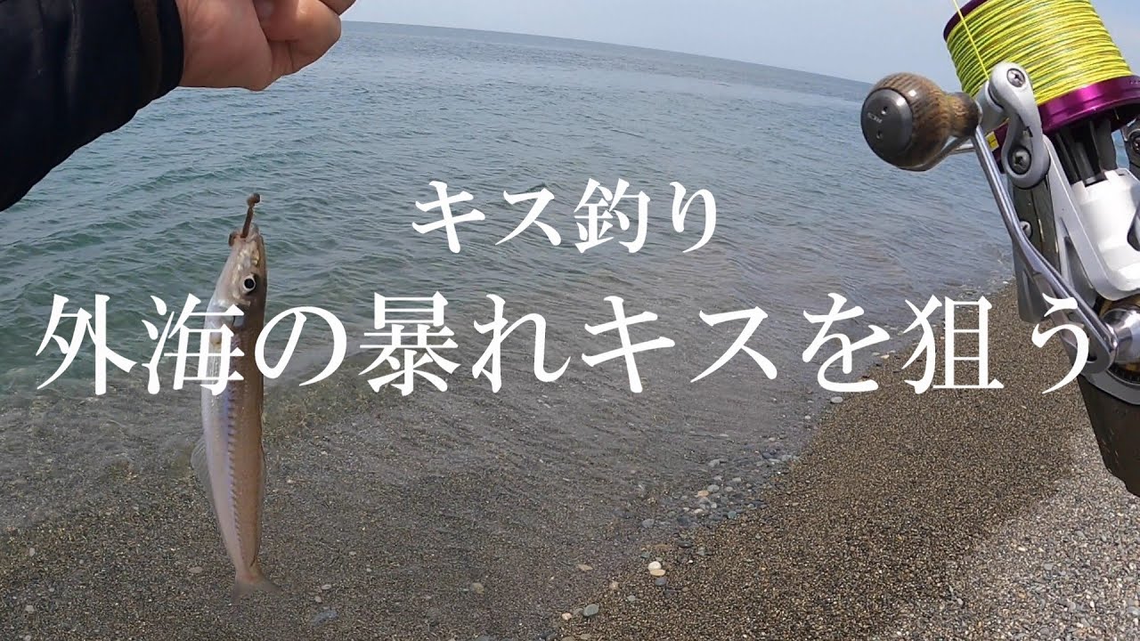 【キス釣り】デカギスのせいで明日もまた釣りがしたくなった一日