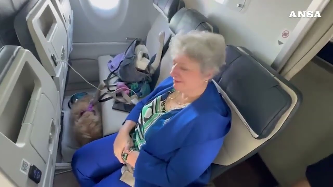 Su Ita il primo volo con due cani in cabina senza trasportino 