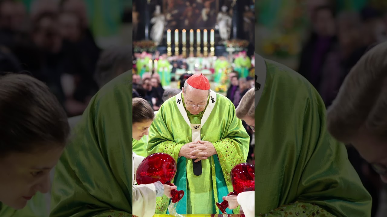 Thank you, Cardinal Sch&ouml;nborn. (more context in description) #mass #thanksgiving #vienna #catholic