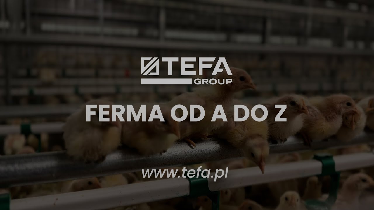 TEFA Group - Nowoczesna ferma drobiu
