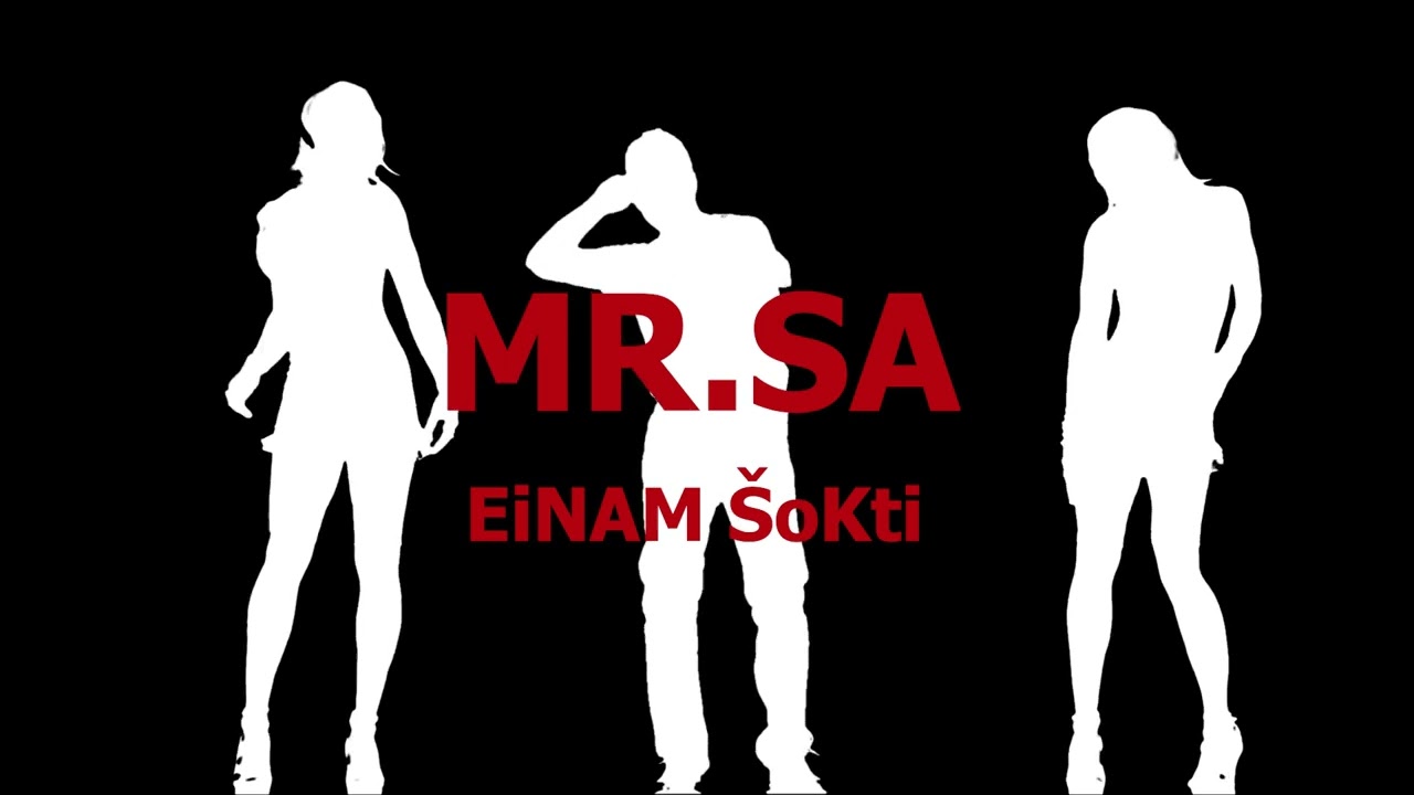 MR.SA - EINAM &Scaron;OKTI