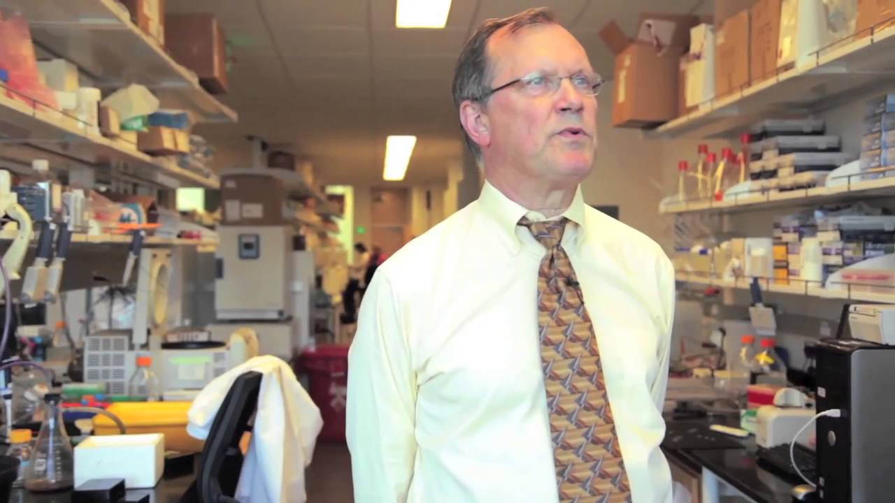 Examining the role of cullin 3 in hyperkalemic hypertension