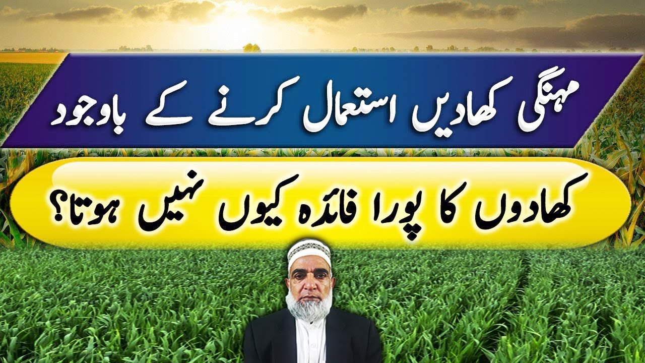Why fertilizers are not giving required results || Crop Reformer