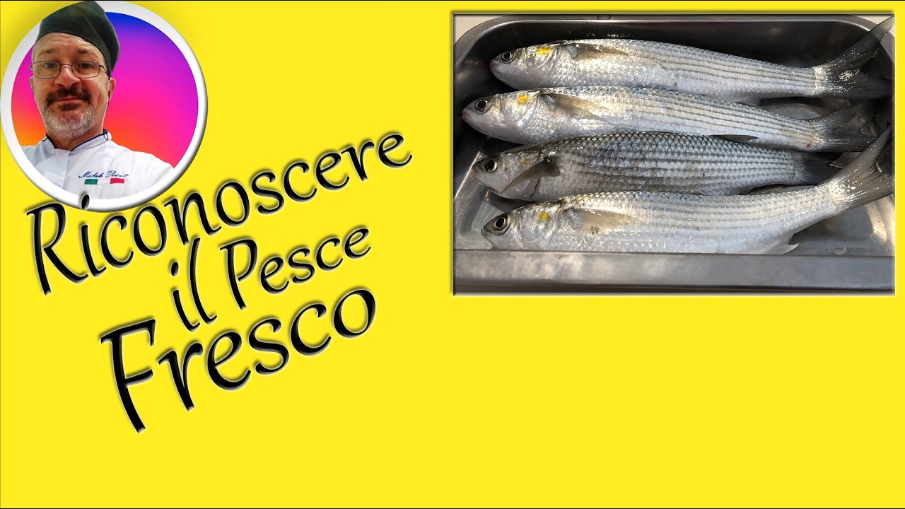 Riconoscere il Pesce Fresco #pescefresco #pesce #tutorial