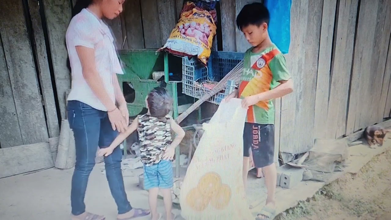 the orphan boy who picked wild fruits to survive | touching vietnamese short film