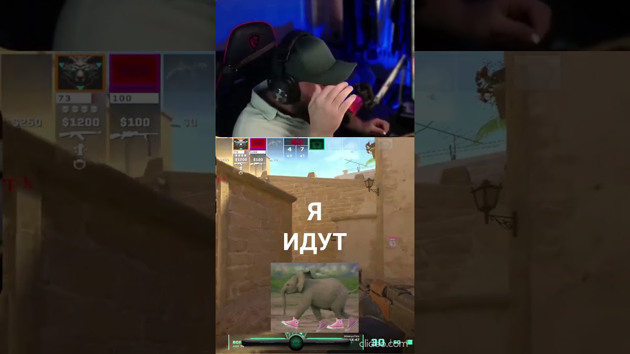 НАС МНОГО И МЫ ИДЕМ CS2 FUNNY MOMENTS @AngryWolf @SayhaN @Islam @Malik