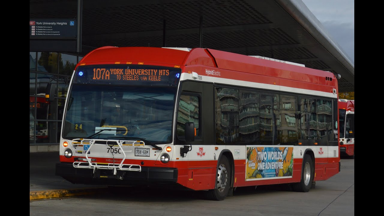 TTC Buses 17