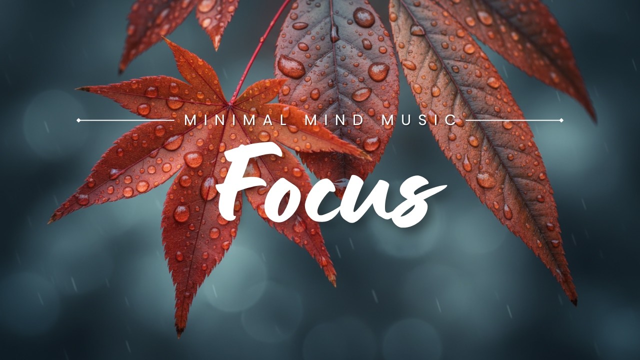 Ambient Rain Sound 🌧️ Quiet Flow | 3 Hours of Calm Focus Music for Work & Relax
