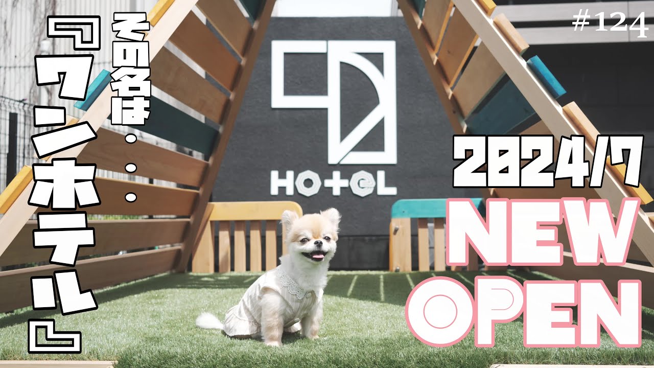 【犬旅行】2024年７月NEW OPENッ!!『１HOTEL』さんが素敵すぎました♪【犬宿】