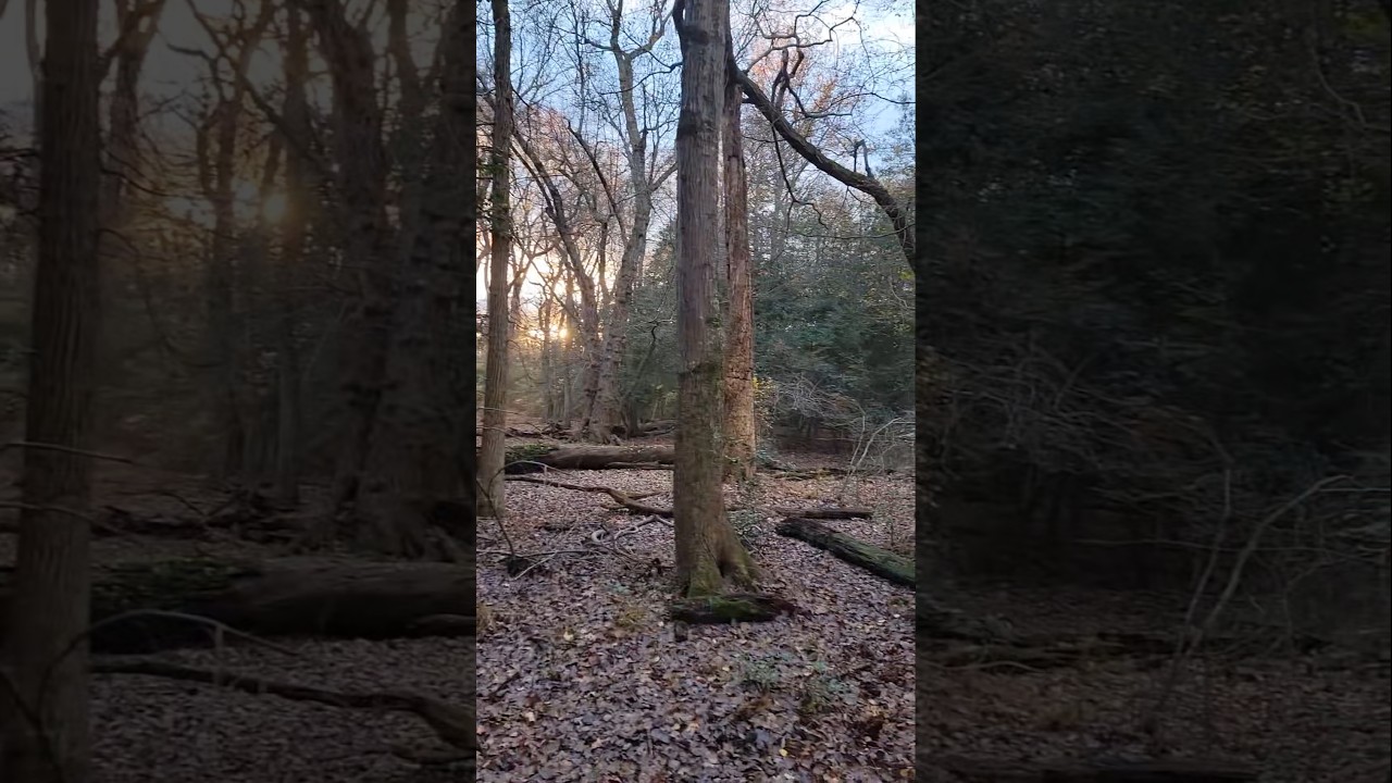 Впереди пересеченная местность ⚠️ 