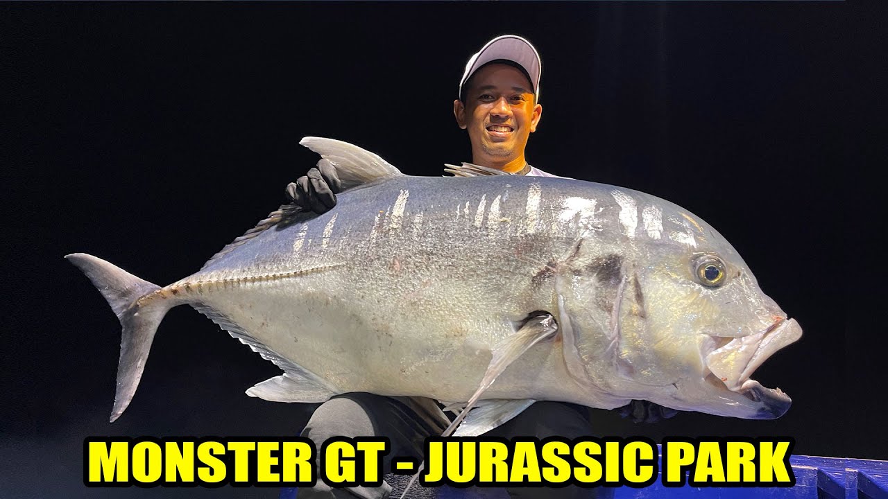 MONSTER GT (GIANT TREVALLY) JURASSIC PARK - KM SAMSON, FINAL PART|| MANCING MANIA