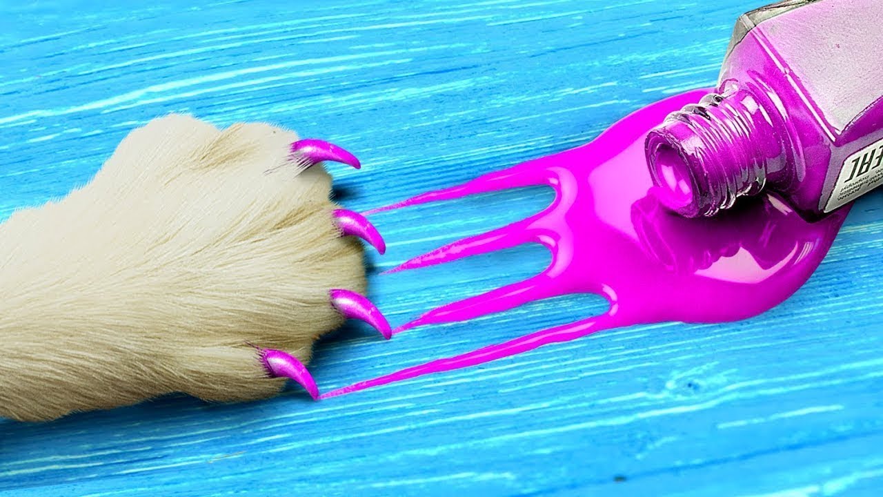 12 ASOMBROSOS TRUCOS PARA LA VIDA CON PERROS Y GATOS