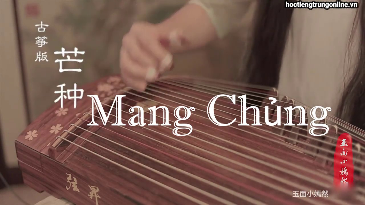 Mang Chủng - 芒种 - Bản hòa tấu đàn tranh
