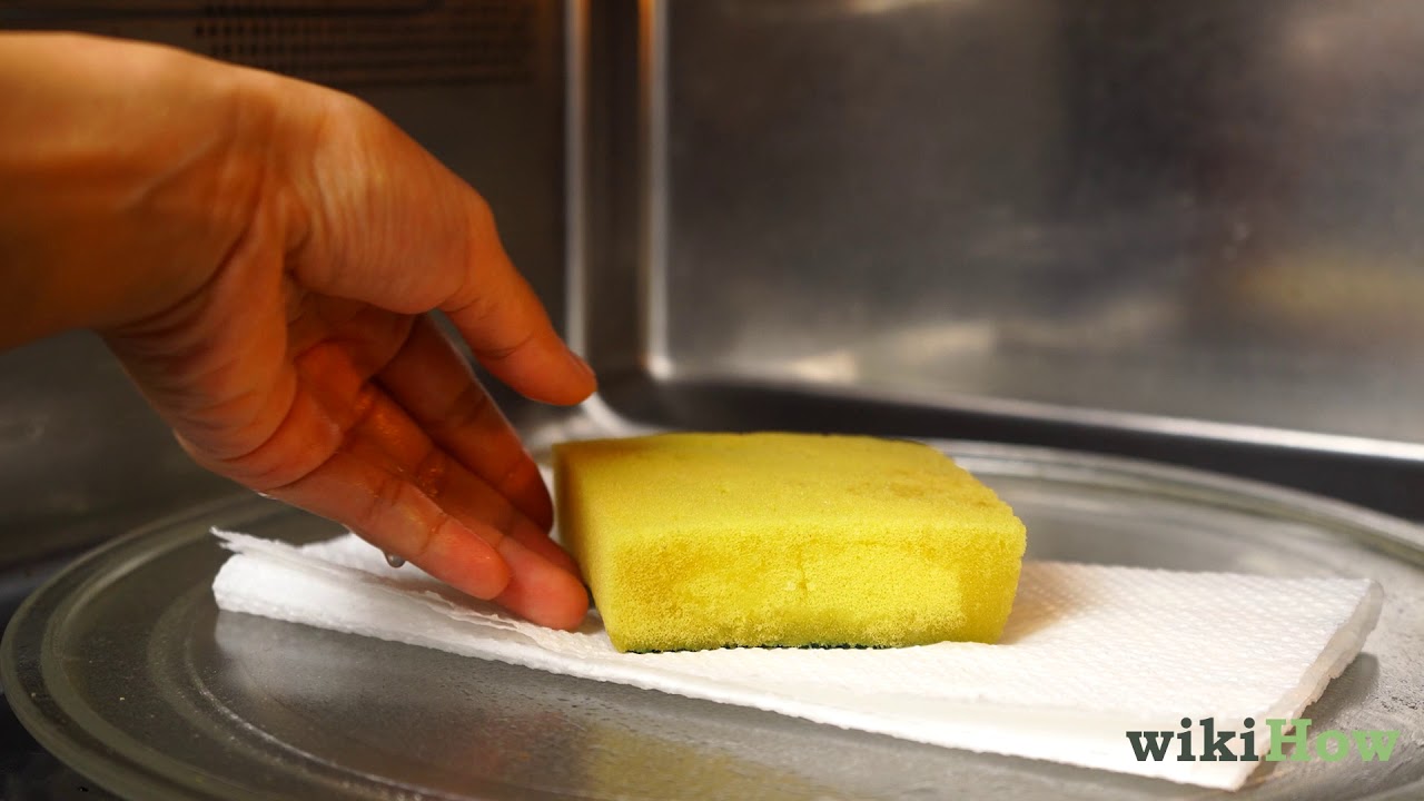 How to Clean a Sponge in the Microwave