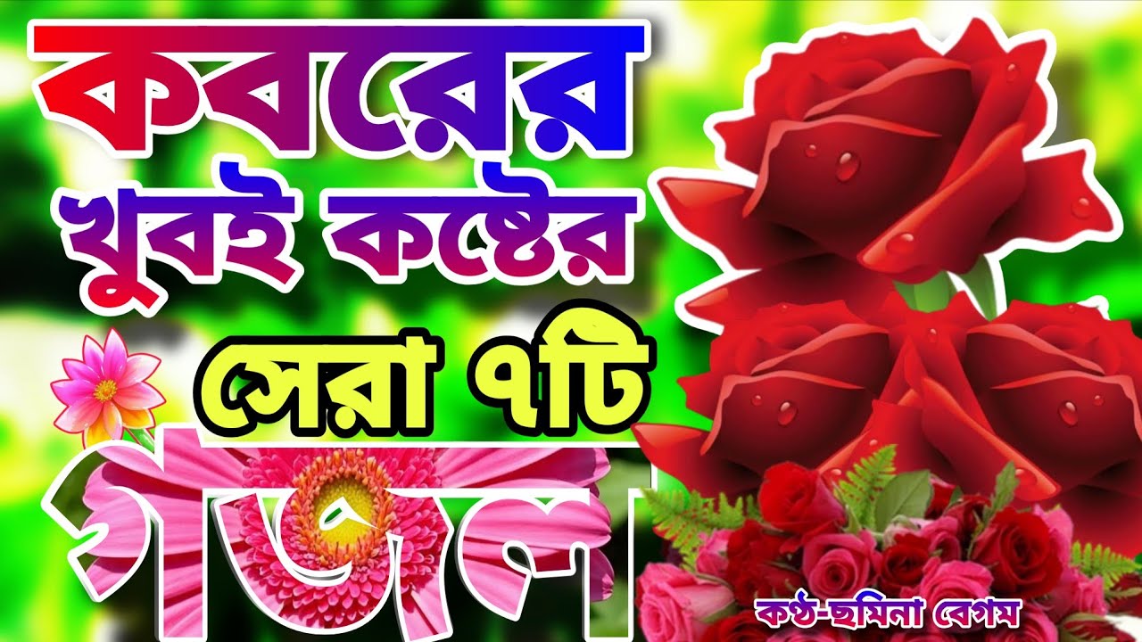 খুবই দুঃখের কবরের কলিজা ছিড়া কষ্টের সেরা মায়াবী কন্ঠে মন জুড়ানো ৭টি গজল।জিন্দেগী তোর যায়রে ফাকি 