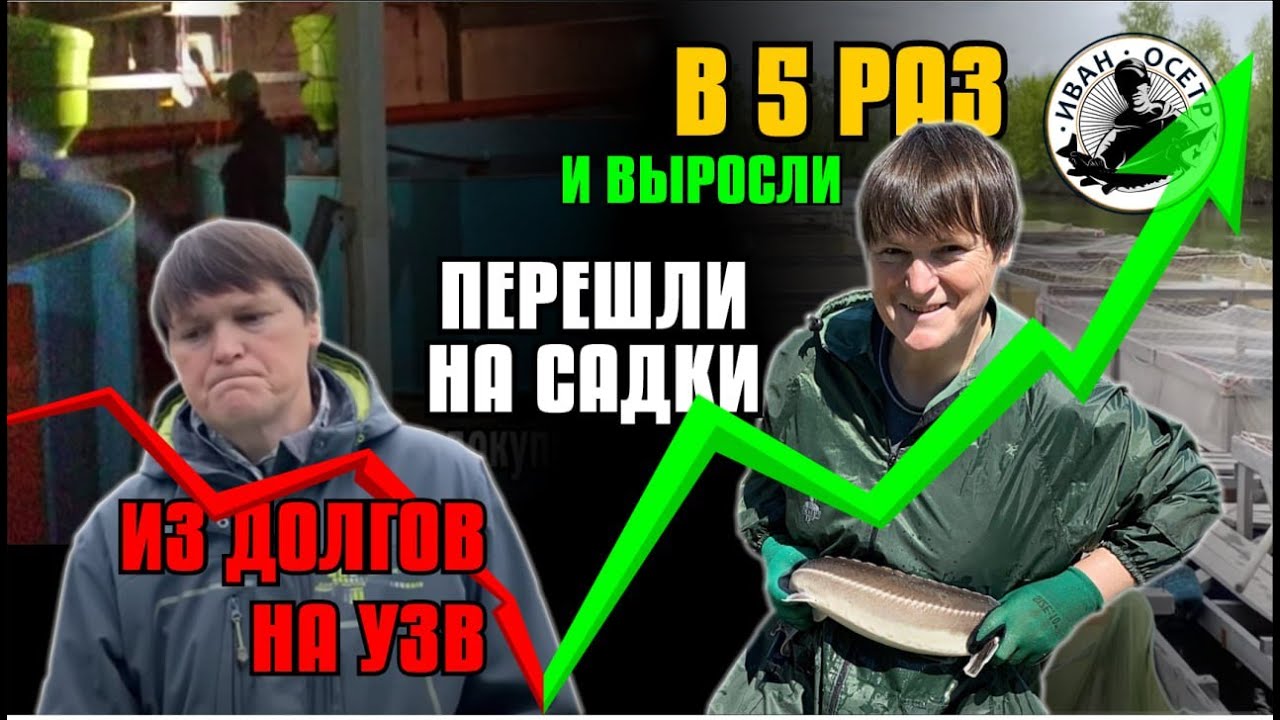 Осетровая ферма «Морозовский осётр».