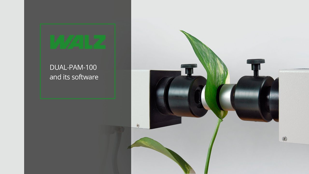 WALZ - DUAL-PAM-100 and its software