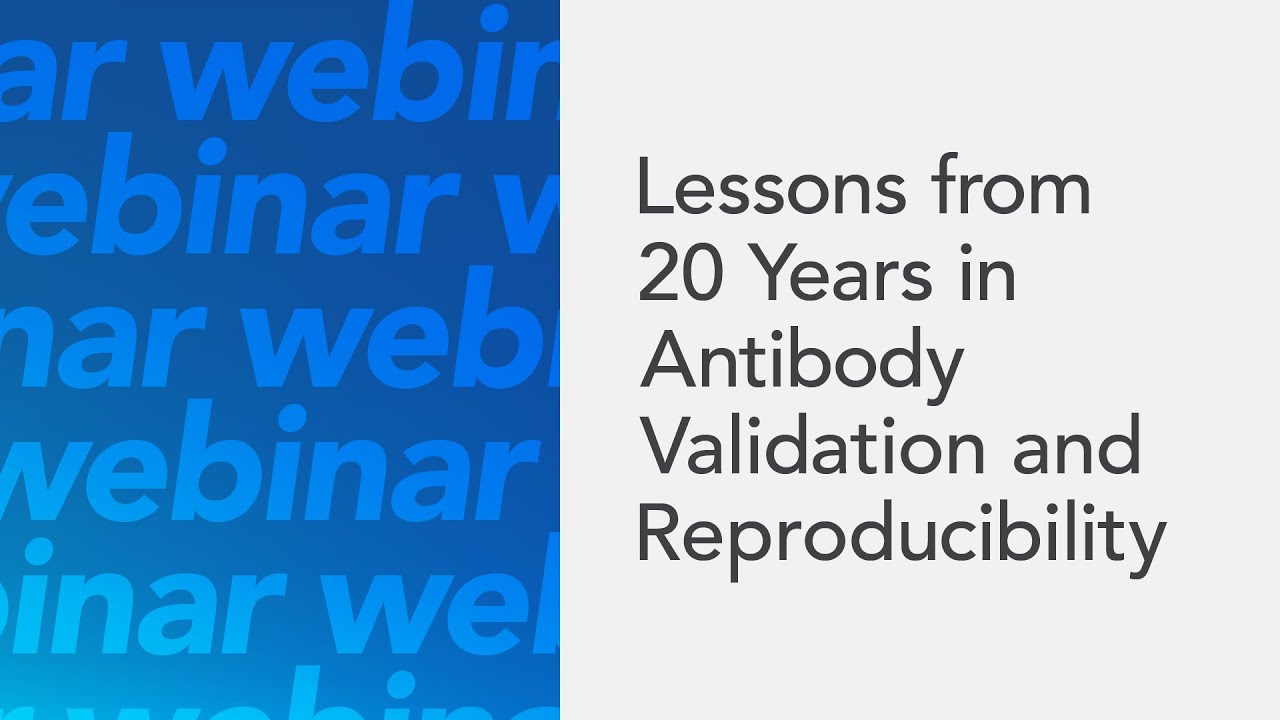 Lessons from 20 Years in Antibody Validation and Reproducibility