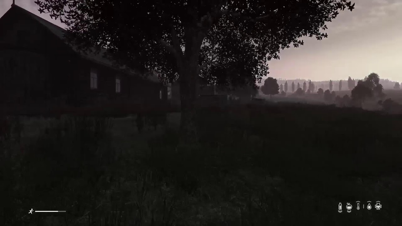 DayZ Chernarus live stream 6