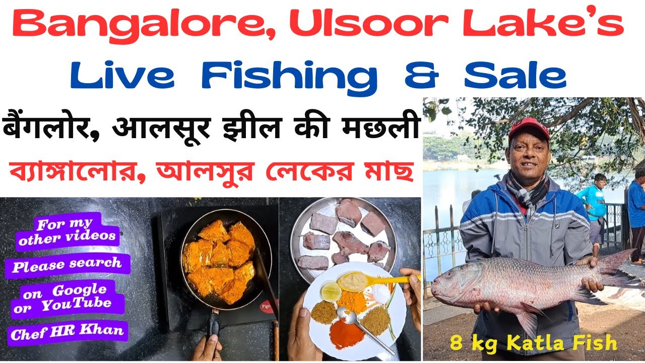 Bangalore, Ulsoor Lake’s Live Fishing in Hindi, ব্যাঙ্গালোর, আলসুর লেকের মাছ, आलसूर झील की मछली