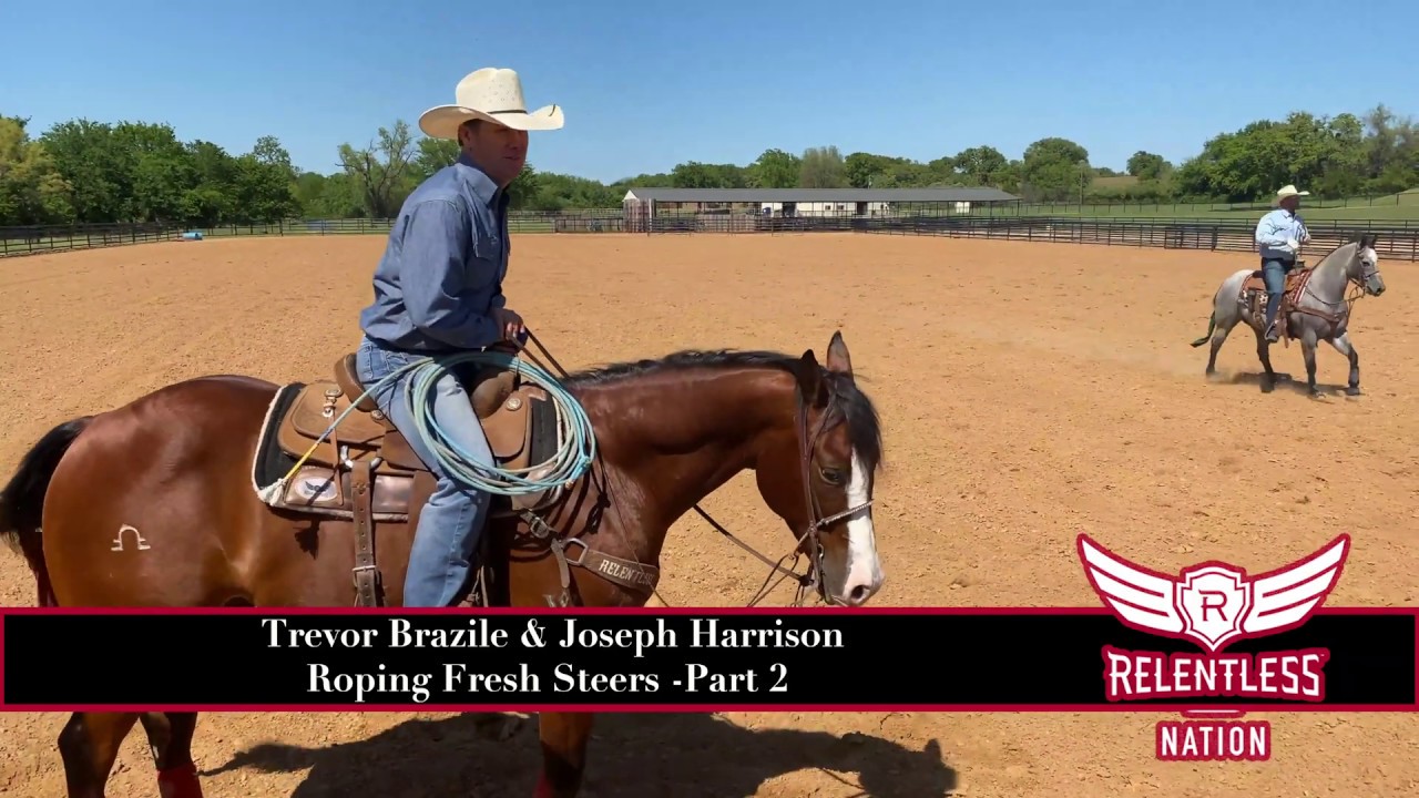 Trevor Brazile and Joseph Harrison Roping Fresh Cattle - Part 2