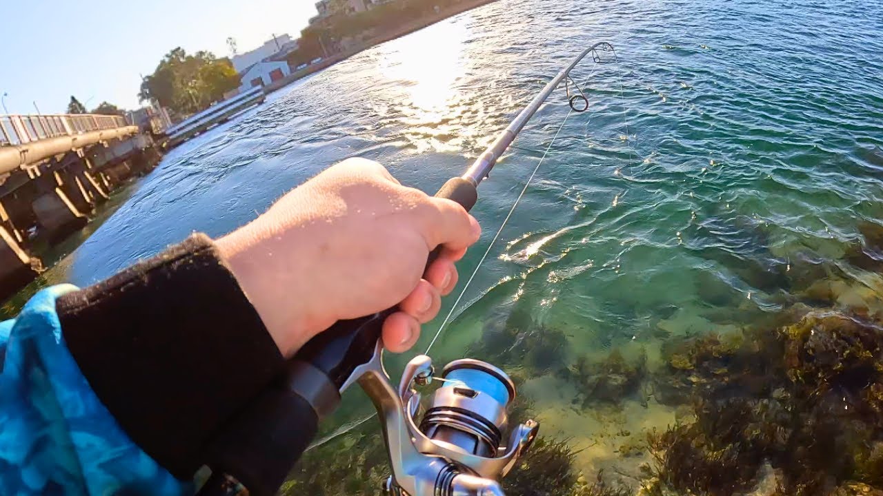 Land Based Fishing a Local Bridge (Central Coast)