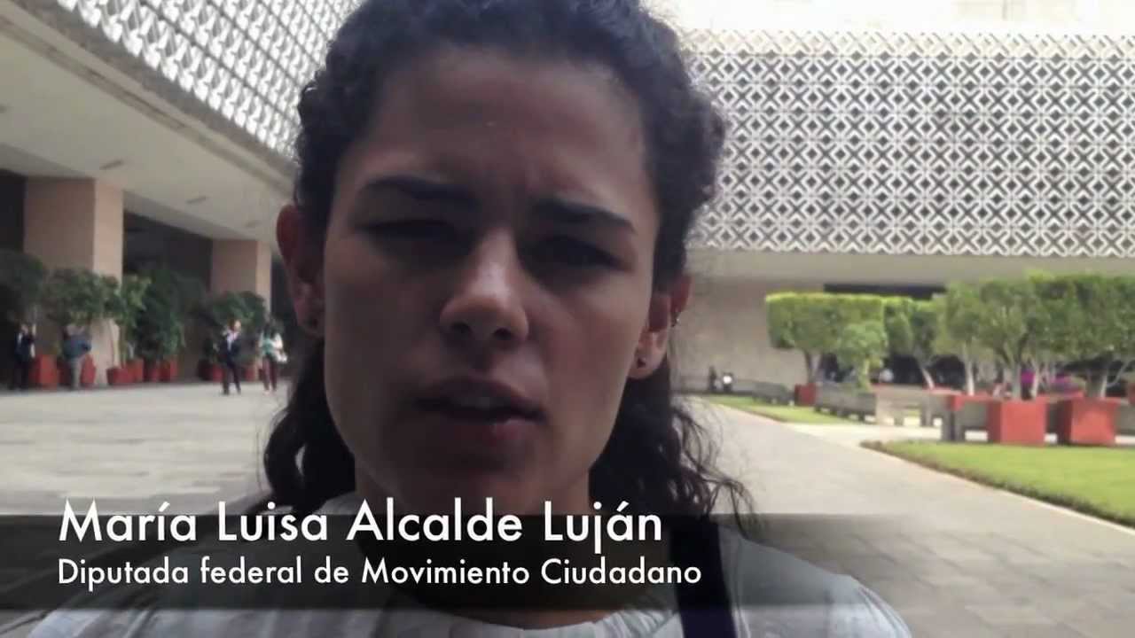 &iquest;Qu&eacute; traen bajo el brazo los j&oacute;venes diputados de la 62 Legislatura?