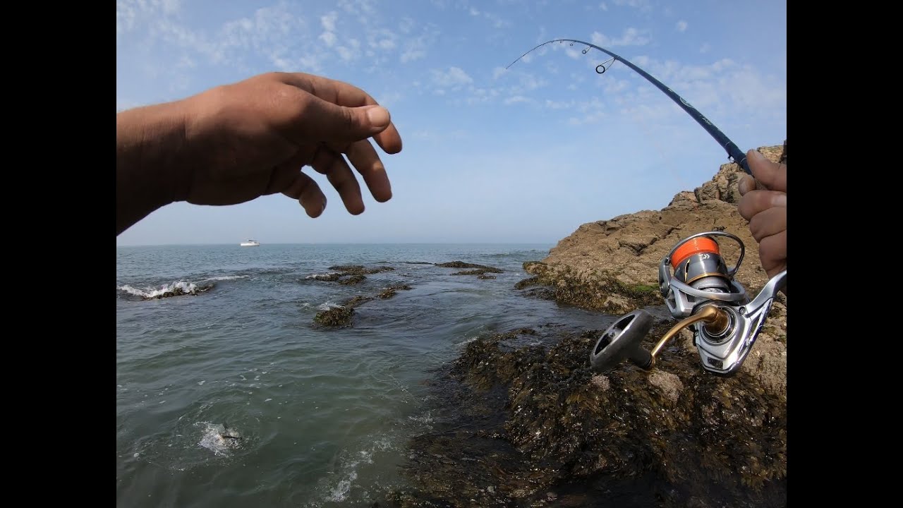 PECHE DU BAR aux leurres JUIN 2023