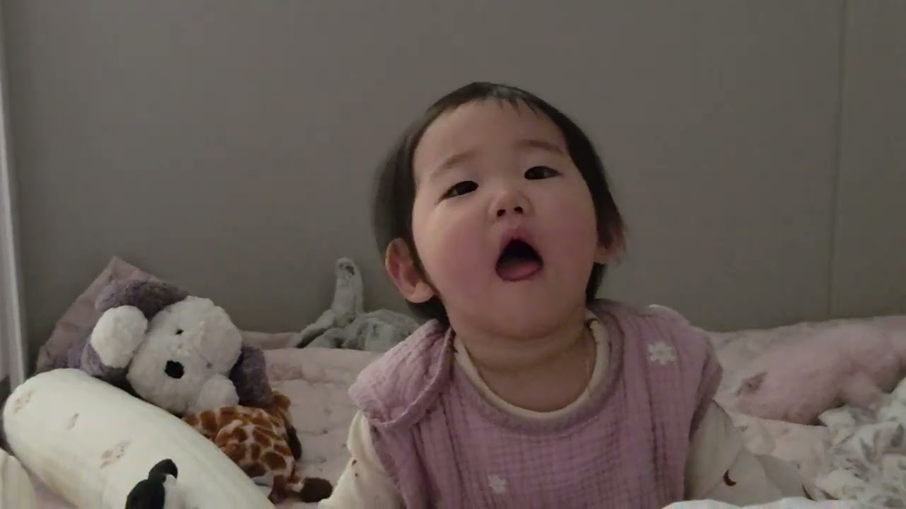 2026년 2월 25일