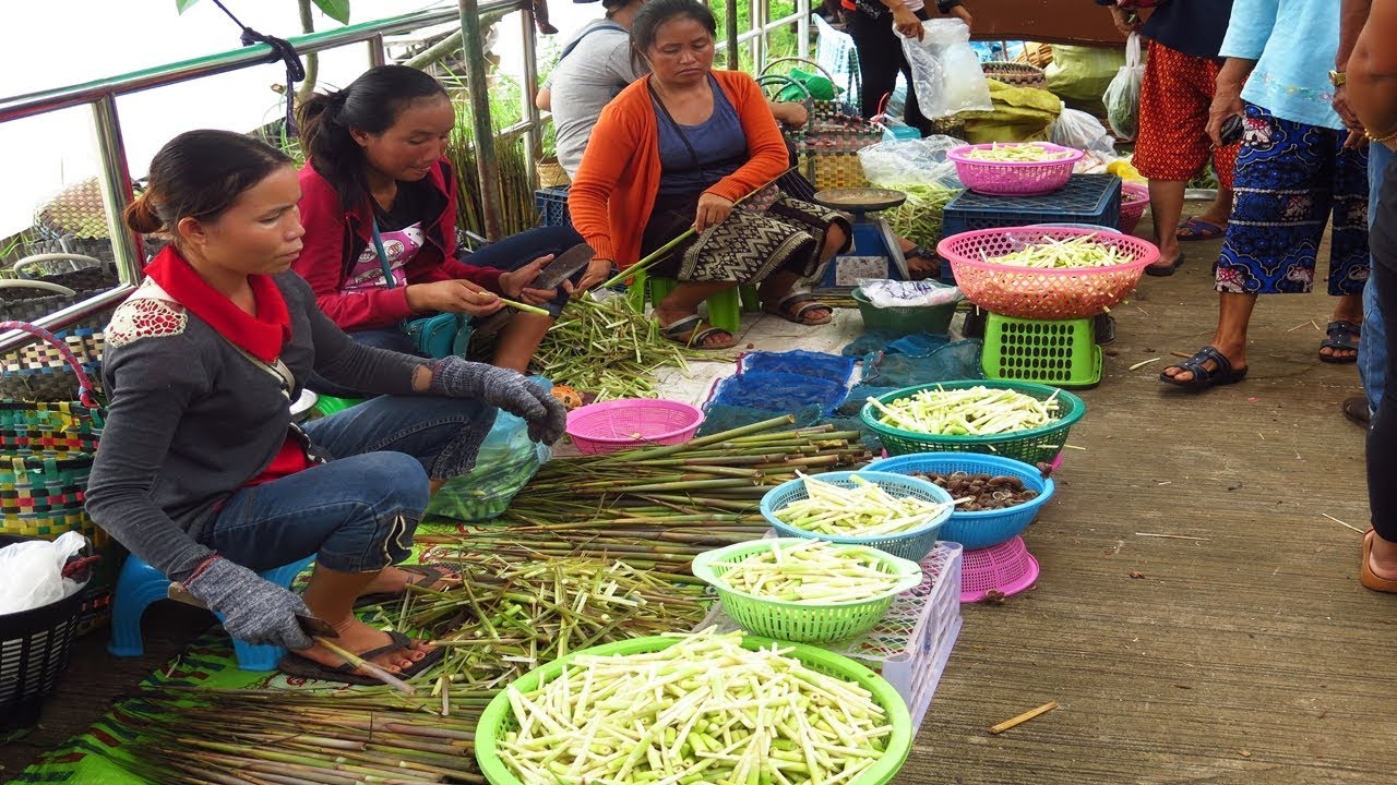 Laos,bamboo shoot Wild food in the morning market